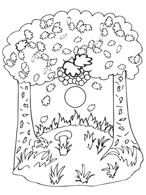 Plansa de colorat cu Toamna 131 37